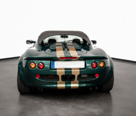 Rückansicht eines grünen Lotus Elise Roadsters mit geschlossenem Verdeck und goldenen Rennstreifen.